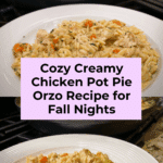 Creamy Chicken Pot Pie Orzo Recipe