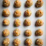 Protein Balls