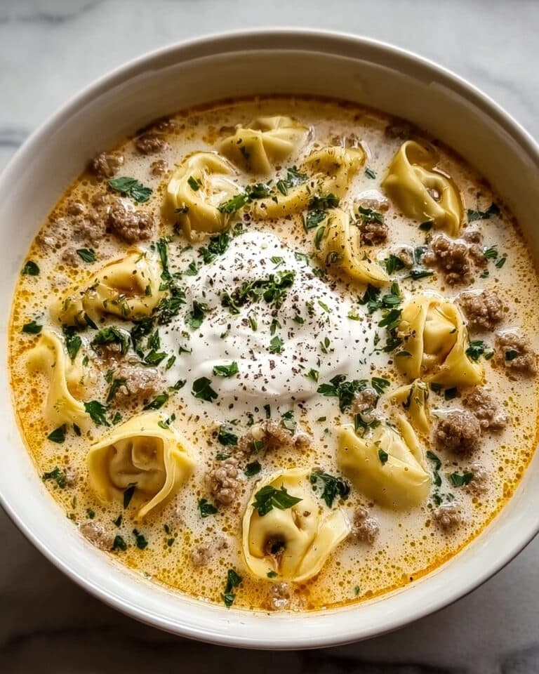 Creamy Alfredo Lasagna Soup Recipe