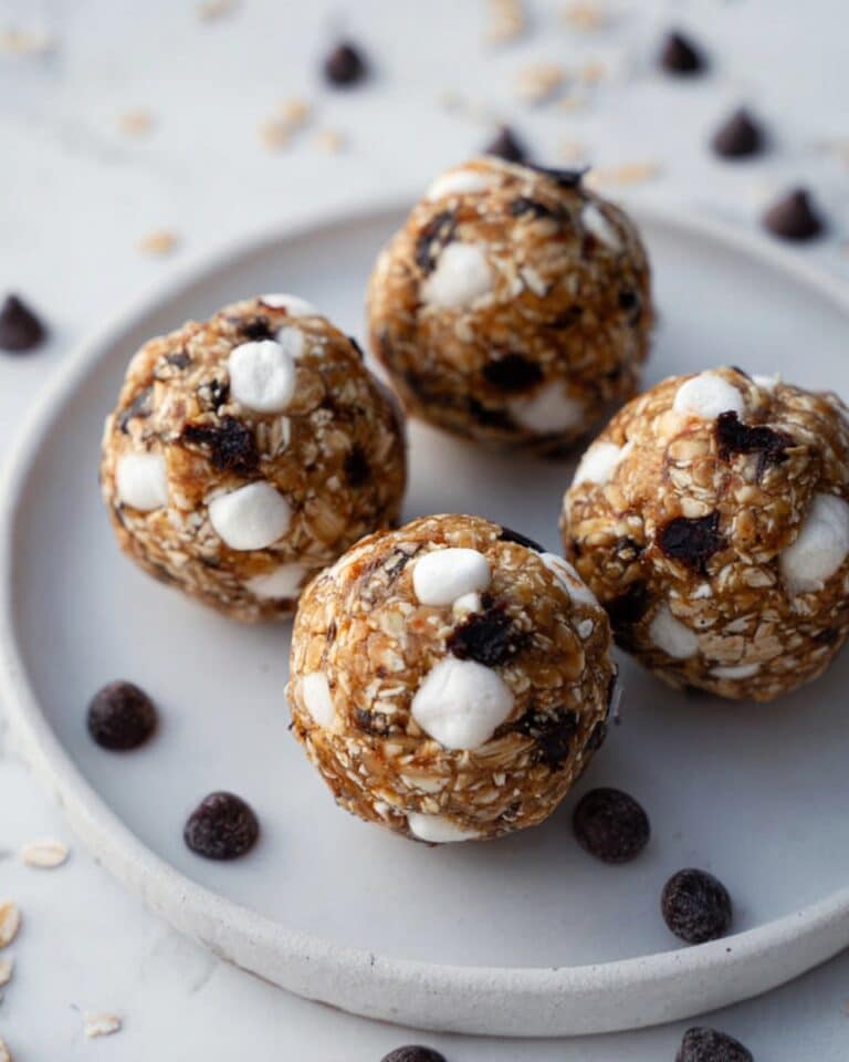 Healthy S’mores Protein Balls Recipe