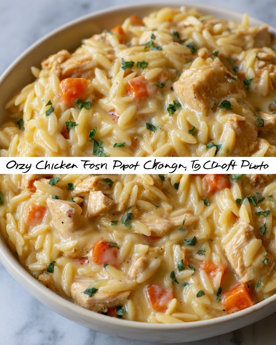 A close-up shows a creamy dish with three main layers: at the bottom, small pieces of cooked chicken with a light golden-brown color are mixed evenly throughout. The middle layer is filled with tiny, smooth orzo pasta that has a pale yellow color, blending smoothly with a thick, creamy sauce that looks rich and slightly shiny. Bright orange carrot cubes are scattered throughout, adding a pop of color, while small green herbs are sprinkled across the whole dish for freshness. The food is served in a white bowl, placed on a white marbled surface, and the overall texture looks soft and comforting. photo taken with an iphone --ar 4:5 --v 7